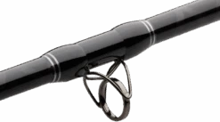 Madcat Black Cat-Stick 3,00m 150-300gr -Visserie Winkel 23b7238bf9476bbd