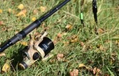 Prowess Wildrunner 6006